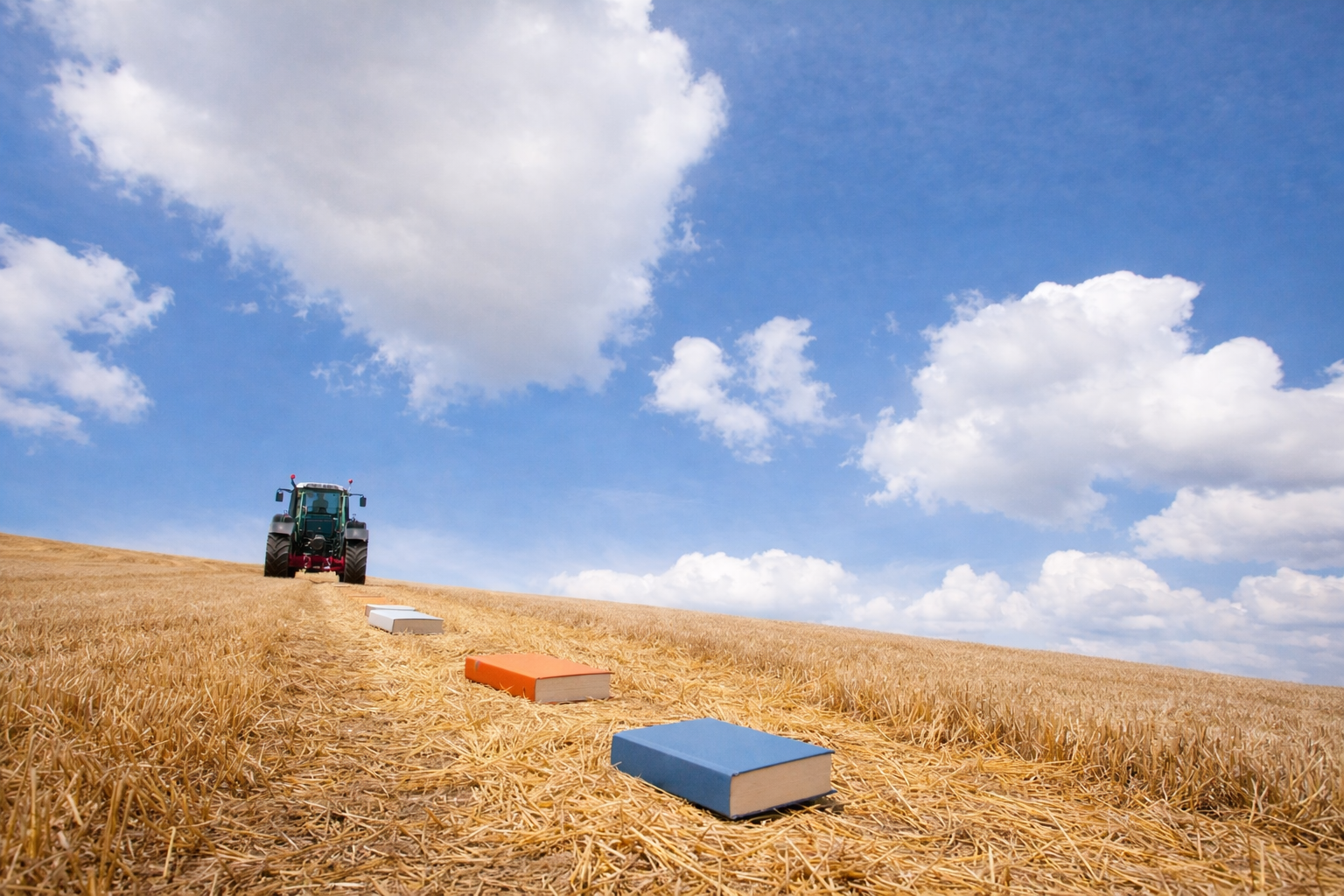 Bücher auf goldenem Feld unter blauem Himmel – Ernte des Lebens